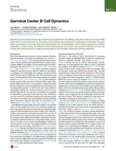 Immunity_2016_Germinal-Center-B-Cell-Dynamics