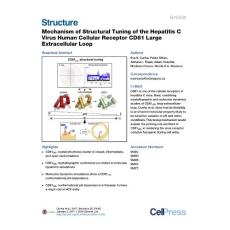 Structure_2017_Mechanism-of-Structural-Tuning-of-the-Hepatitis-C-Virus-Human-Cellular-Receptor-CD81-Large-Extracellular-Loop