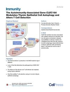 Immunity_2015_The-Autoimmunity-Associated-Gene-CLEC16A-Modulates-Thymic-Epithelial-Cell-Autophagy-and-Alters-T-Cell-Selection