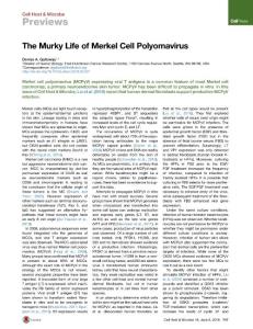 Cell-Host-Microbe_2016_The-Murky-Life-of-Merkel-Cell-Polyomavirus