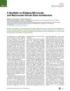 Neuron_2017_A-Spotlight-on-Bridging-Microscale-and-Macroscale-Human-Brain-Architecture