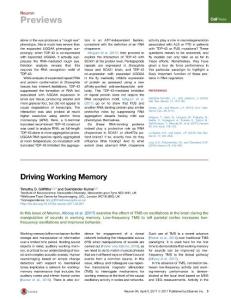 Neuron_2017_Driving-Working-Memory