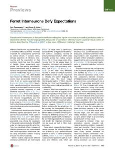 Neuron_2017_Ferret-Interneurons-Defy-Expectations