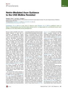 Neuron_2017_Netrin-Mediated-Axon-Guidance-to-the-CNS-Midline-Revisited