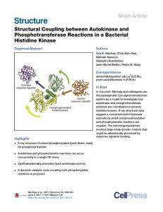 Structure_2017_Structural-Coupling-between-Autokinase-and-Phosphotransferase-Reactions-in-a-Bacterial-Histidine-Kinase