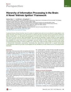 Neuron_2017_Hierarchy-of-Information-Processing-in-the-Brain-A-Novel-Intrinsic-Ignition-Framework