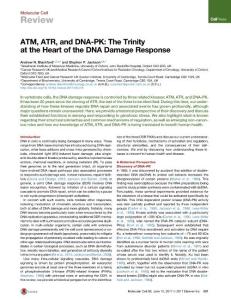 Molecular Cell-2017-ATM, ATR, and DNA-PK The Trinity at the Heart of the DNA Damage Response