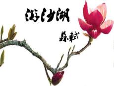 游沙湖公開課課件.ppt