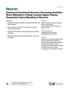Neuron_2017_Enhanced-Functional-Genomic-Screening-Identifies-Novel-Mediators-of-Dual-Leucine-Zipper-Kinase-Dependent-Injury-Signaling-in-Neurons