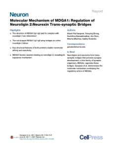 Neuron_2017_Molecular-Mechanism-of-MDGA1-Regulation-of-Neuroligin-2-Neurexin-Trans-synaptic-Bridges
