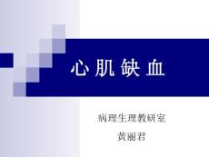 心肌缺血 ppt课件