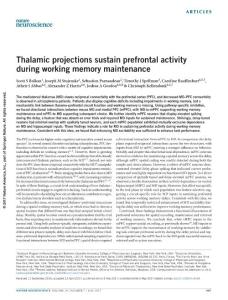 nn.4568-Thalamic projections sustain prefrontal activity during working memory maintenance