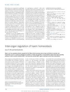 ncb3568-Inter-organ regulation of haem homeostasis