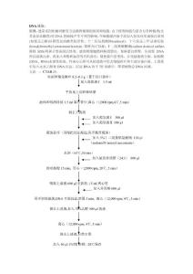 DNA 提取： 原理：通常采用机械研磨的方法破碎植物的组织和细胞