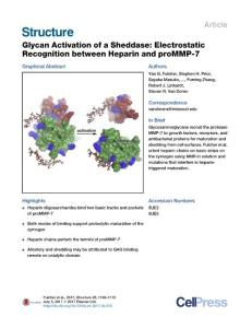Structure_2017_Glycan-Activation-of-a-Sheddase-Electrostatic-Recognition-between-Heparin-and-proMMP-7