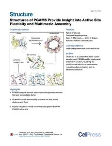 Structure_2017_Structures-of-PGAM5-Provide-Insight-into-Active-Site-Plasticity-and-Multimeric-Assembly