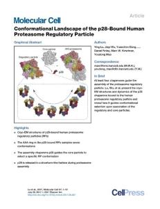 Molecular Cell-2017-Conformational Landscape of the p28-Bound Human Proteasome Regulatory Particle