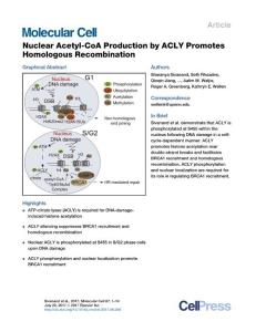 Molecular Cell-2017-Nuclear Acetyl-CoA Production by ACLY Promotes Homologous Recombination
