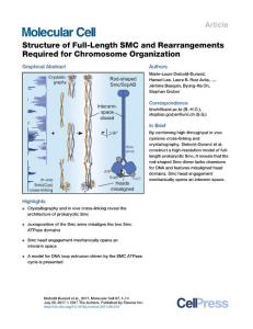 Molecular Cell-2017-Structure of Full-Length SMC and Rearrangements Required for Chromosome Organization