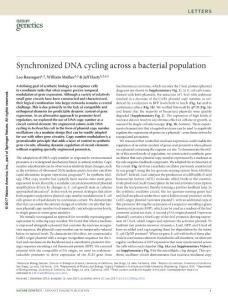 ng.3915-Synchronized DNA cycling across a bacterial population