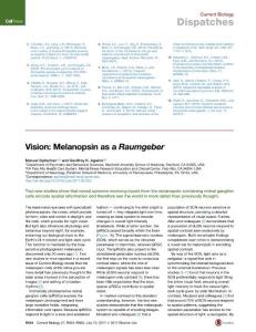 Current Biology-2017-Vision- Melanopsin as a Raumgeber