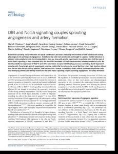 ncb3555-Dll4 and Notch signalling couples sprouting angiogenesis and artery formation
