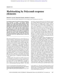 Genes Dev.-2017-Jaensch-1069-72-Multitasking by Polycomb response elements