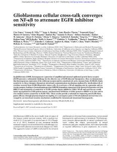 Genes Dev.-2017-Zanca-Glioblastoma cellular cross-talk converges on NF-κB to attenuate EGFR inhibitor sensitivity