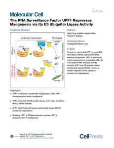 Molecular Cell-2017-The RNA Surveillance Factor UPF1 Represses Myogenesis via Its E3 Ubiquitin Ligase Activity