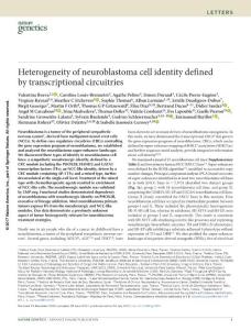 ng.3921-Heterogeneity of neuroblastoma cell identity defined by transcriptional circuitries
