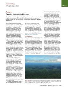 Current-Biology_2017_Brazil-s-fragmented-forests