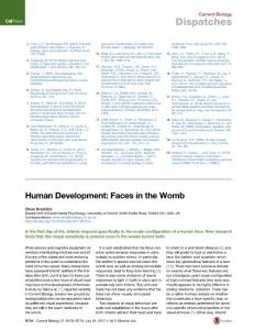 Current-Biology_2017_Human-Development-Faces-in-the-Womb