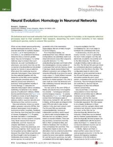 Current-Biology_2017_Neural-Evolution-Homology-in-Neuronal-Networks
