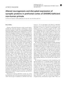 cr201795a-Altered neurogenesis and disrupted expression of synaptic proteins in prefrontal cortex of SHANK3-deficient non-human primate