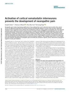 nn.4595-Activation of cortical somatostatin interneurons prevents the development of neuropathic pain