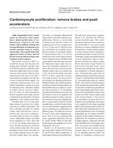 cr201791a-Cardiomyocyte proliferation- remove brakes and push accelerators
