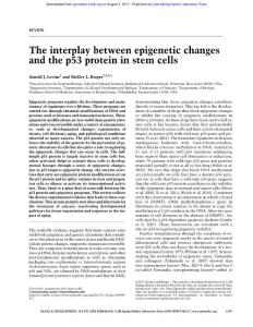 Genes Dev.-2017-Levine-1195-201-The interplay between epigenetic changes and the p53 protein in stem cells