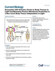Current-Biology_2017_Drosophila-CRY-Entrains-Clocks-in-Body-Tissues-to-Light-and-Maintains-Passive-Membrane-Properties-in-a-Non-clock-Body-Tissue-Inde