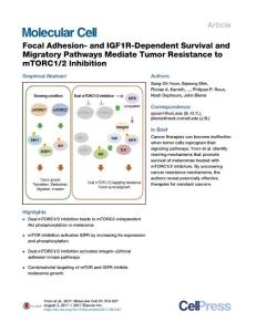 Molecular-Cell_2017_Focal-Adhesion-and-IGF1R-Dependent-Survival-and-Migratory-Pathways-Mediate-Tumor-Resistance-to-mTORC1-2-Inhibition