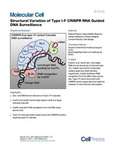 Molecular-Cell_2017_Structural-Variation-of-Type-I-F-CRISPR-RNA-Guided-DNA-Surveillance