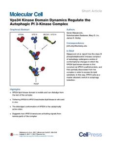 Molecular-Cell_2017_Vps34-Kinase-Domain-Dynamics-Regulate-the-Autophagic-PI-3-Kinase-Complex