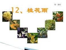 蘇教版四年級語文上冊第12課桂花雨課件