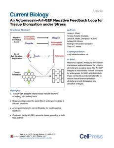 Current-Biology_2017_An-Actomyosin-Arf-GEF-Negative-Feedback-Loop-for-Tissue-Elongation-under-Stress