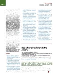 Current-Biology_2017_Notch-Signaling-Where-Is-the-Action-