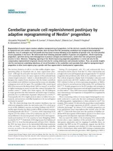 nn.4621-Cerebellar granule cell replenishment postinjury by adaptive reprogramming of Nestin+ progenitors