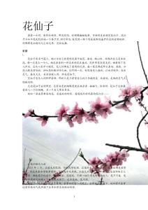 花仙子%2Cxiaoshuo21最新