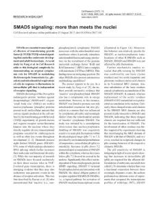 cr2017101a-SMAD5 signaling- more than meets the nuclei
