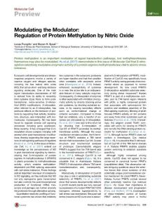 Molecular-Cell_2017_Modulating-the-Modulator-Regulation-of-Protein-Methylation-by-Nitric-Oxide