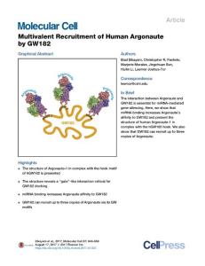 Molecular-Cell_2017_Multivalent-Recruitment-of-Human-Argonaute-by-GW182