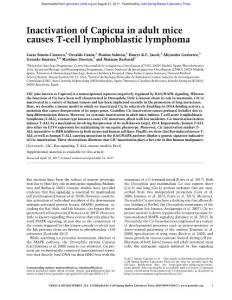 Genes Dev.-2017-Sim髇-Carrasco-Inactivation of Capicua in adult mice causes T-cell lymphoblastic lymphoma